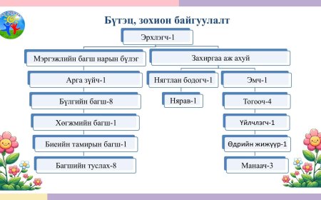 Бүтэц зохион байгуулалт