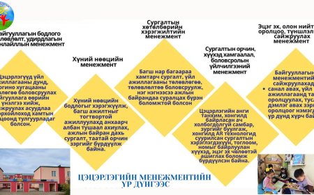 Цэцэрлэгийн менежмент